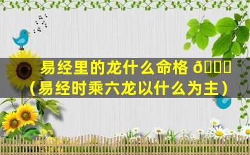 易经里的龙什么命格 🍀 （易经时乘六龙以什么为主）